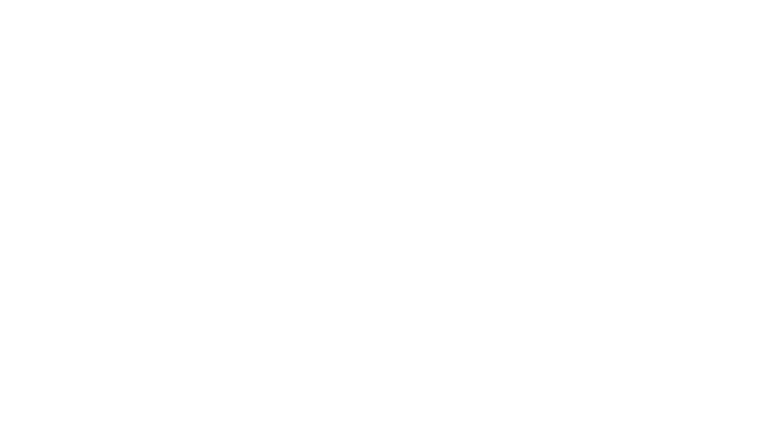 veeva veeva